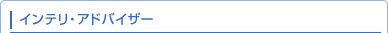 �C���e���E�A�h�o�C�U�[