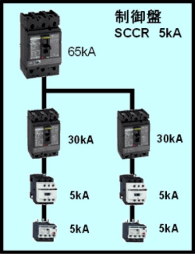SCCRとは何か?