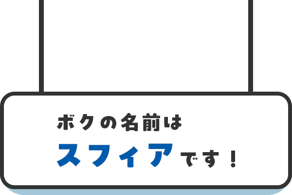 ボクの名前はスフィアです！