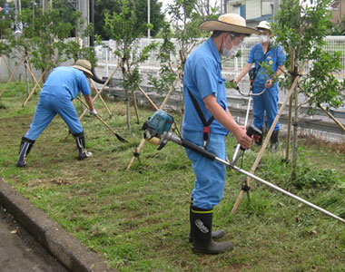 緑化管理作業