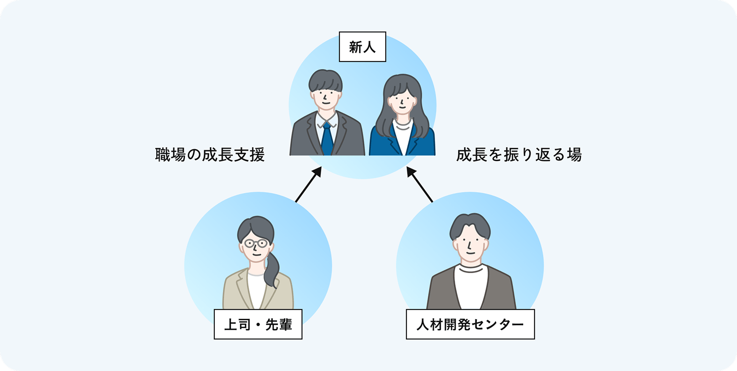 新人に対するサポート体制の図。上司や先輩からは職場の成長支援が行われ、人材開発センターからは成長を振り返る場が提供される。