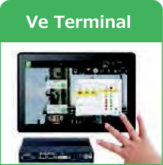 Ve Terminal