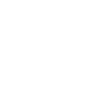 セキュリティアイコン
