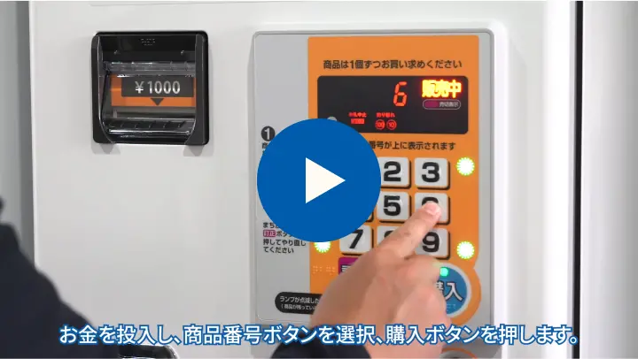 動画を見る