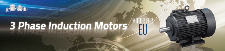 3-phase induction motors