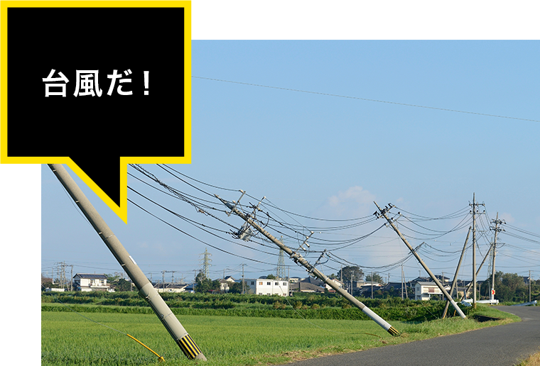 台風だ!