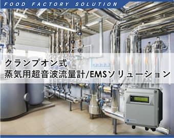 蒸気用超音波流量計/EMSソリューションのイメージ