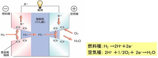 図解:燃料電池の発電方法2