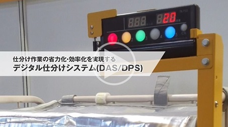 物流センターソリューション デジタル仕分けシステム(DAS/DPS)_J_製品紹介