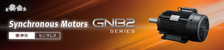 標準形 センサレス GNB2 Series