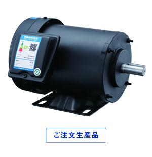 海外高効率規制認証モータ〈中国向〉 ｜ 富士電機 1000v motor wiring diagram 