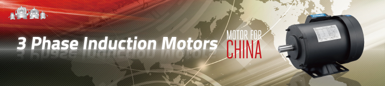 3-phase induction motors