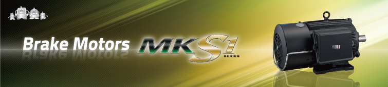 Brake Motors