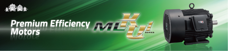 Premium Efficiency Motors