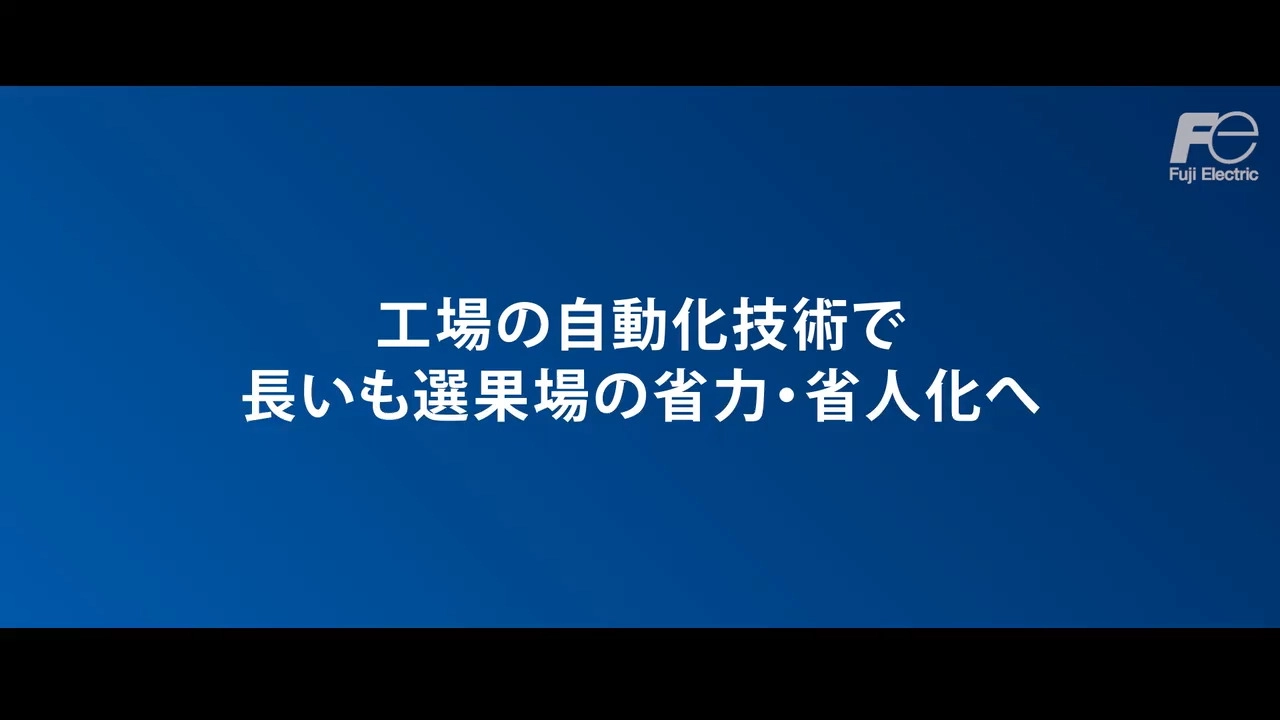 長いも選果ライン自動化　ソリューション導入事例