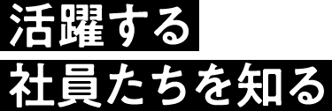 活躍する社員たちを知る